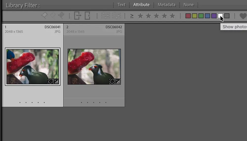 The Attribute bar in Lightroom Classic with the white Other Label chip selected, showing two photos whose labels came from another Color Label Set