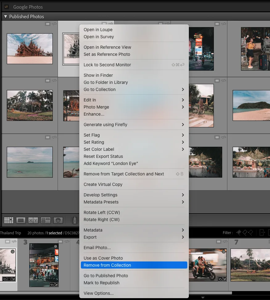 Right-click menu showing Remove from Collection option